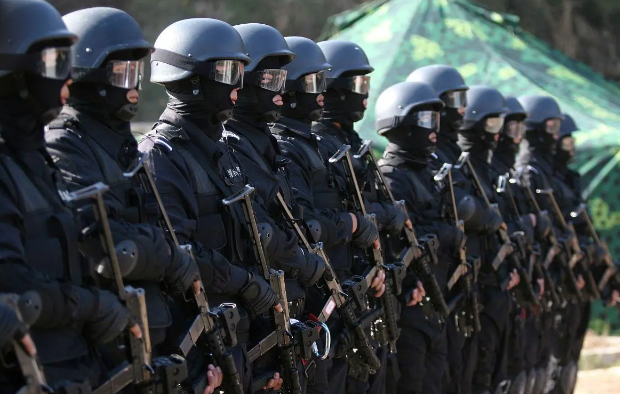 系統概述 系統概述